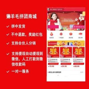 薅羊毛拼团商城小程序源码v2.8.6+前端-志哥资源网