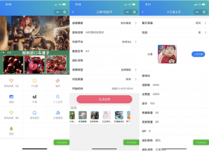 王者荣耀装逼神器助手小程序源码_支持多种流量主模式-志哥资源网