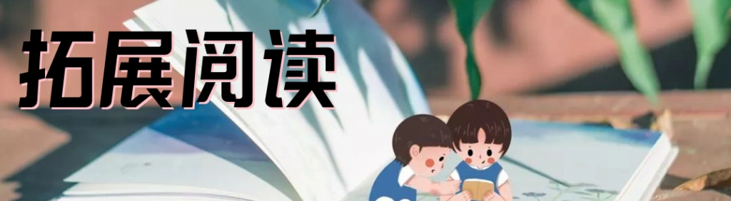 图片[2]-WordPress自适应美女图片站源码【带数据源码+教程】安装即可运营-志哥资源网