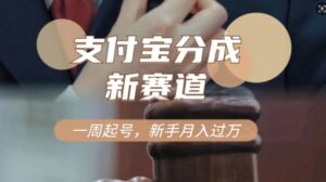 支付宝分成计划，新赛道，利用刑侦纪实视频，一周起号，新手小白也能月入过万-志哥资源网