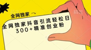 全网独家抖音引流轻松日引300+精准创业粉-志哥资源网