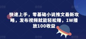 快速上手，零基础小说推文最新攻略，发布视频就能轻松赚，1W播放100收益-志哥资源网